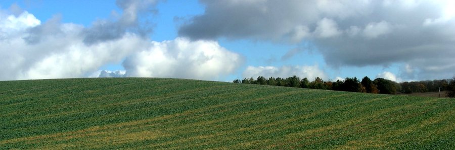 View northeast on the Icknield Way, between Clothall and Wallington.