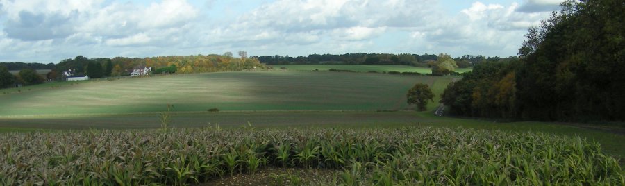 View north near Toggs, on the A507, east of Baldock.
