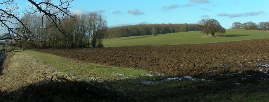 Snow dust on ploughed fields near Benington Park - here the Chain Walk swings to the right.
