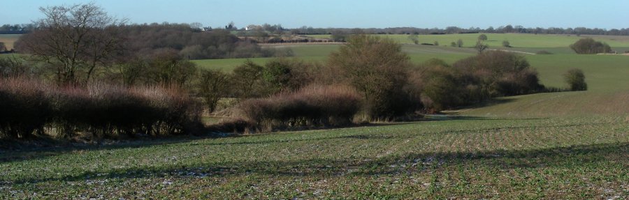 View from the Chain Walk between Woolston Farm, Haultwick and to Green End.