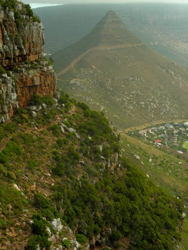 Little Lions Head.